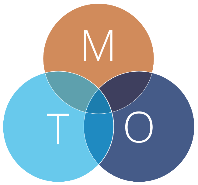 Vad är MTO? Mto